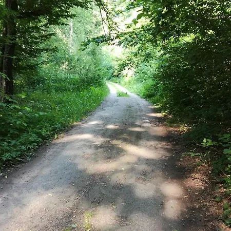 Zatisi * Podhradi nad Dyji