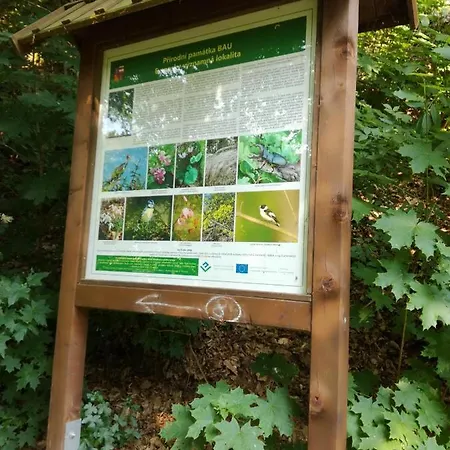 Zatisi * Podhradi nad Dyji